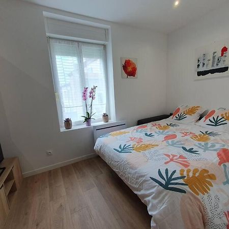 Studio Coquelicot Apartment Nancy Luaran gambar