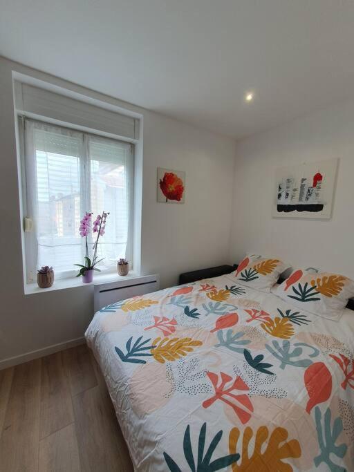 Studio Coquelicot Apartment Nancy Luaran gambar