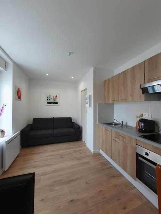 Studio Coquelicot Apartment Nancy Luaran gambar