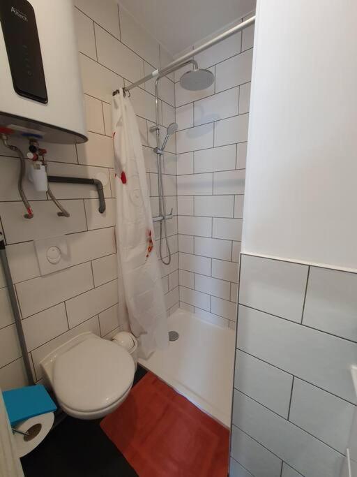 Studio Coquelicot Apartment Nancy Luaran gambar