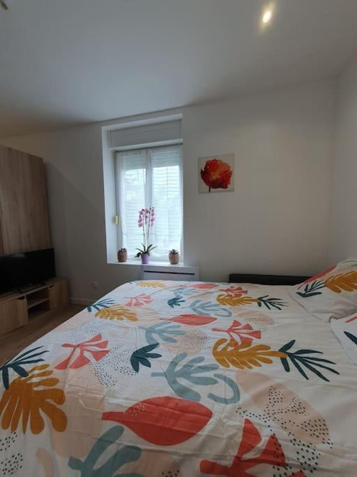 Studio Coquelicot Apartment Nancy Luaran gambar
