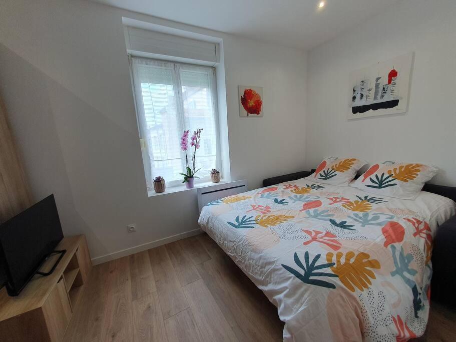 Studio Coquelicot Apartment Nancy Luaran gambar